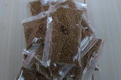 Kod:dg08 Kontrollu yavaş salınımlı dengeli besin+iz elemetleri - Akıllı gübre (bitkinizi 8 ay boyunca besler) daha koyu yapraklar, bol çiçek ve meyve için.