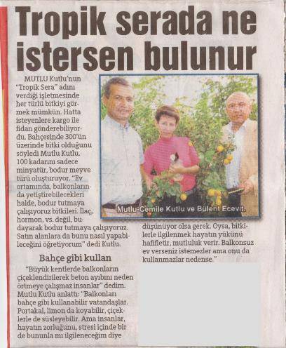 gazete1