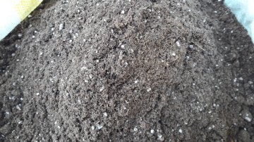 Kod:torf01 köklendirme toprağı (dengeli karışım torf)5 lt,